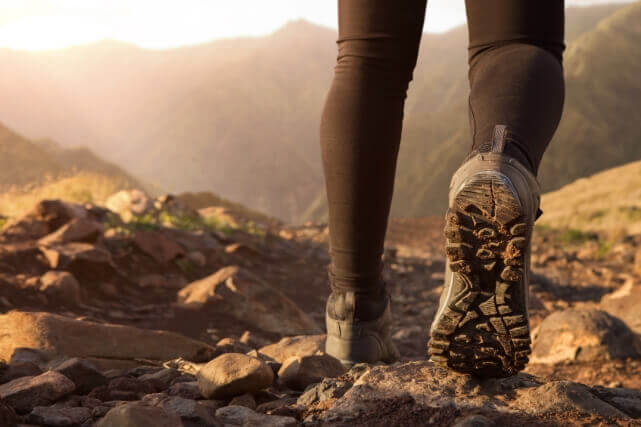 Hiking Shoes on Trail