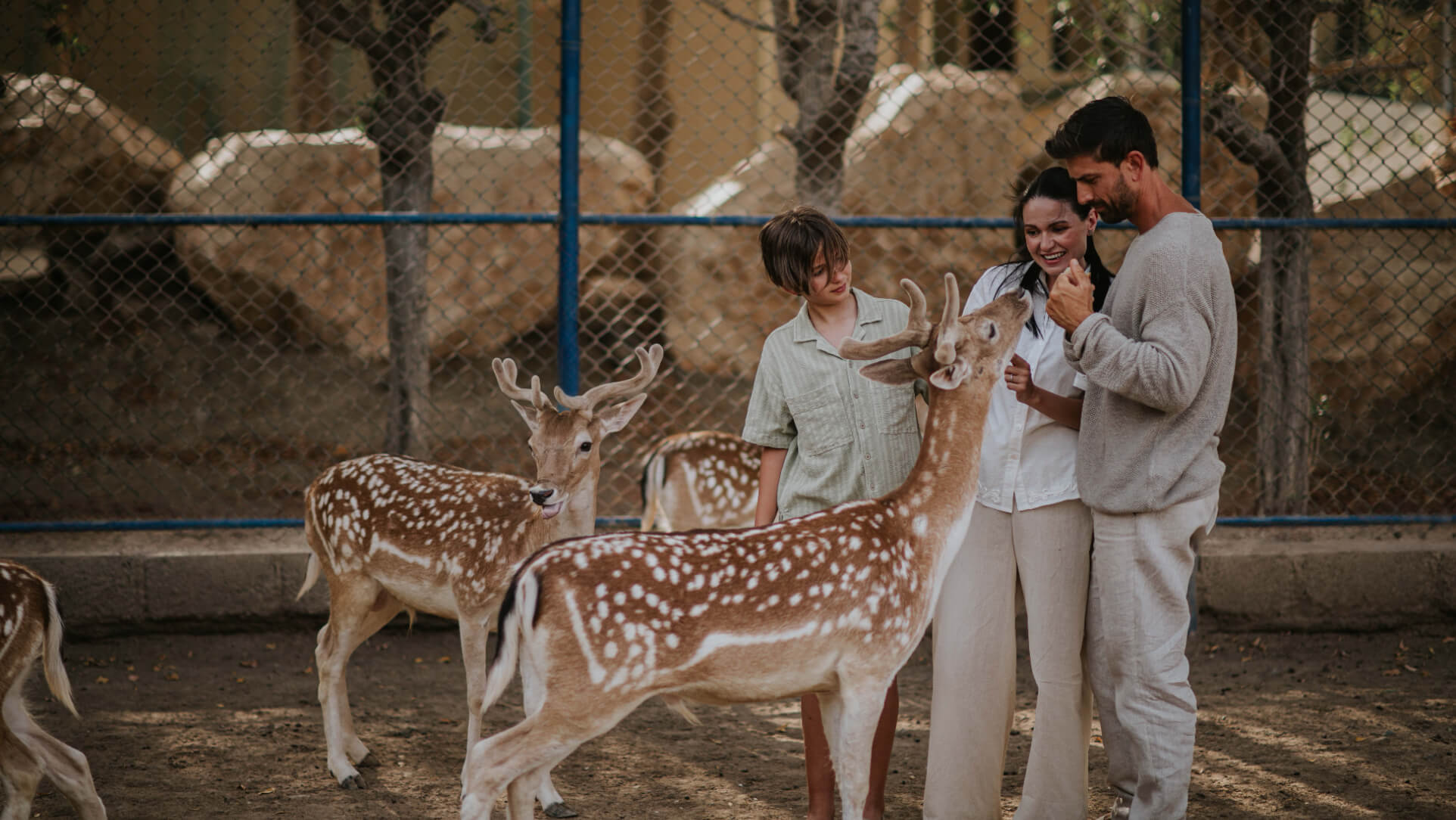 JA_HATTA_FORT_ANIMAL_SANCTUARY_0211.JPG