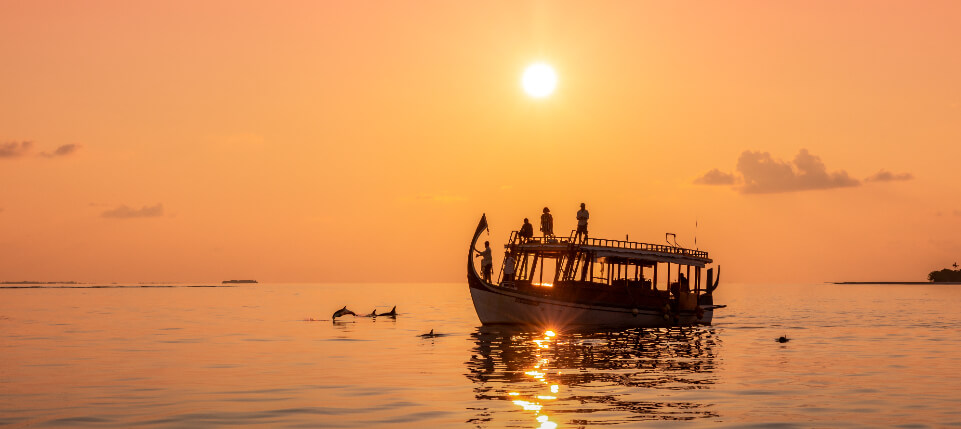 JAM Sunset Dolphin Cruise 4.jpg