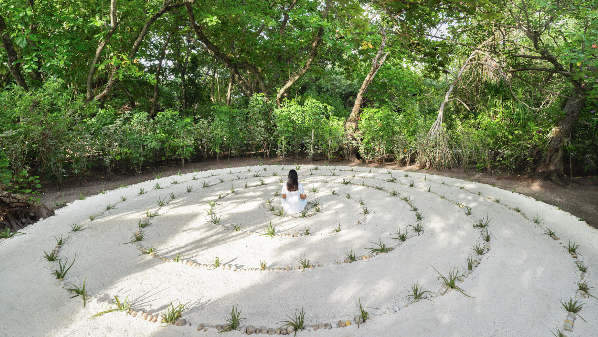 Meditation path.jpg
