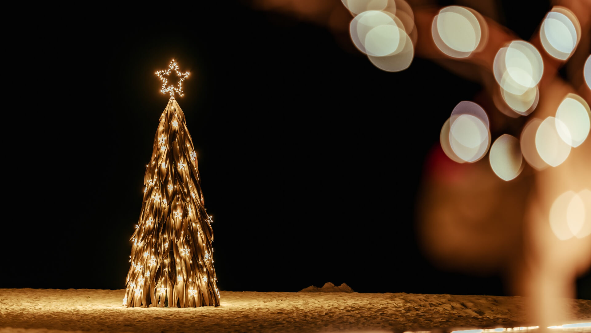 JAM Festive Image.jpg