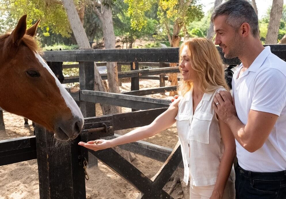 JA The Resort - Horse Riding.3 copy-min.jpg