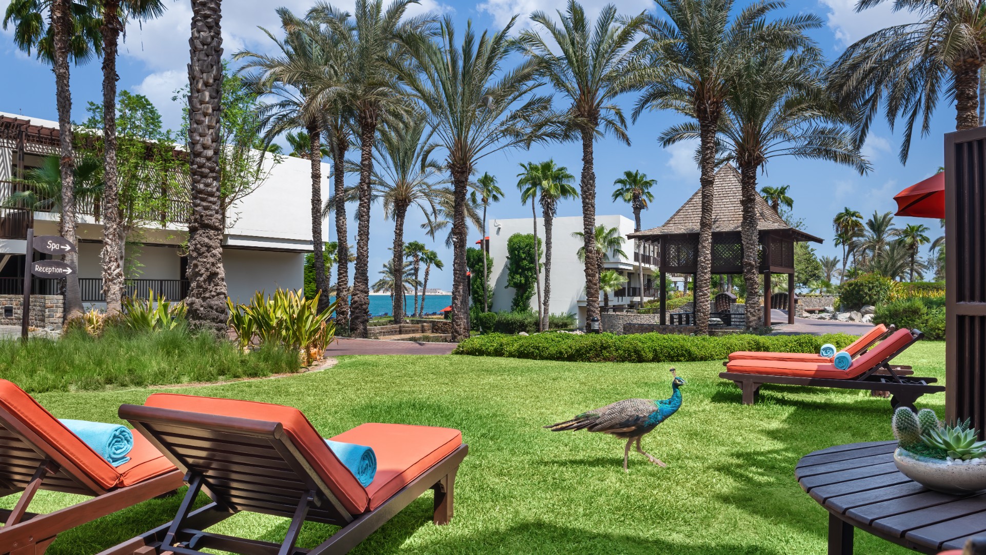 JA Palm Tree Court JA Resorts Hotels