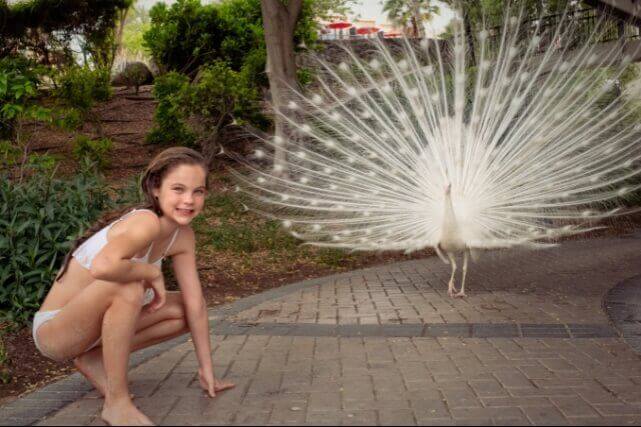Girl With White Peacock