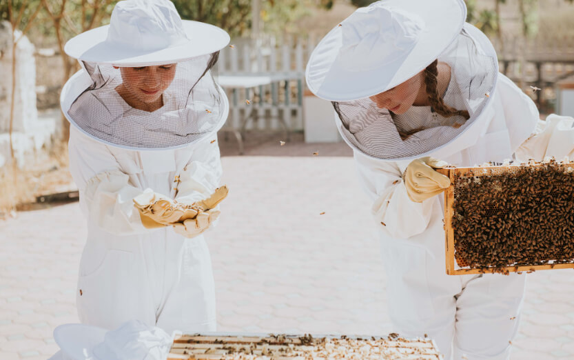 JA_HATTA_FORT_BEE_FARM_0291.jpg