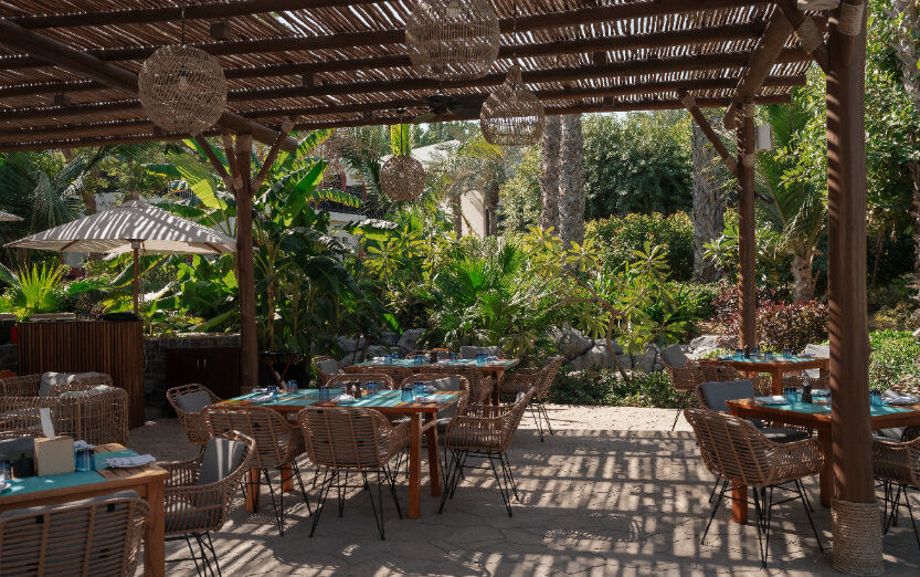 TAMR JA Palm Tree Court.jpg