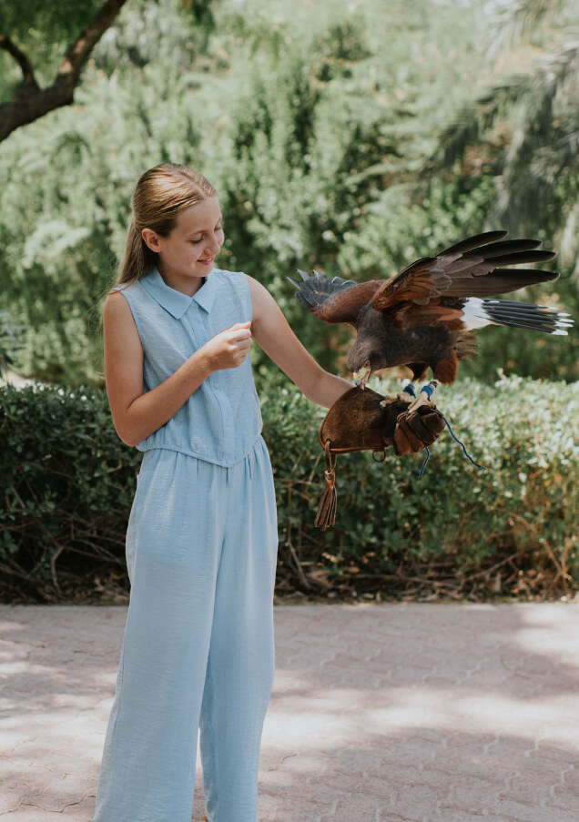 Animal Discovery Zone Bird Aviaries 14.jpg