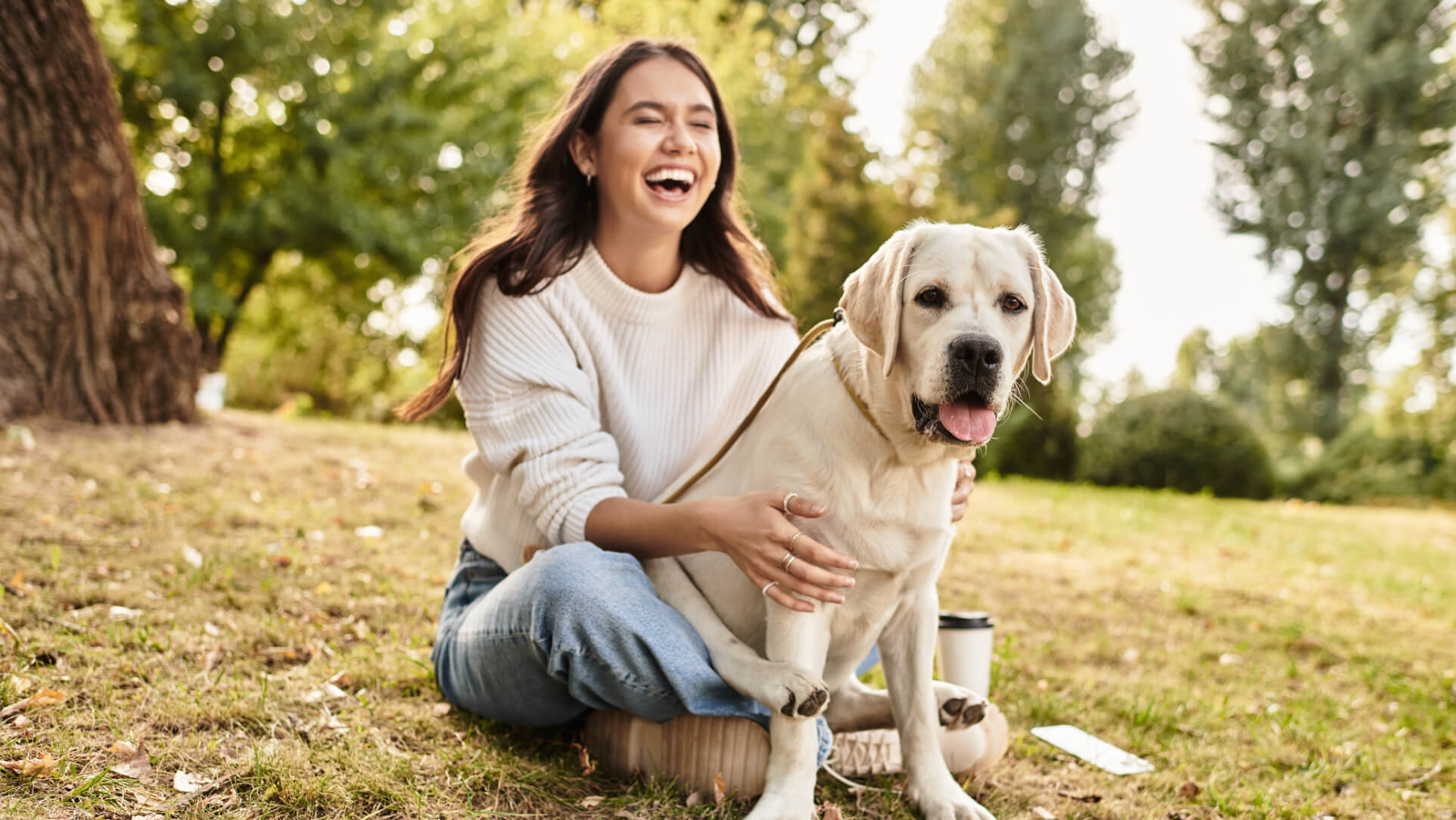 Dog Friendly Staycations_HFH.jpg