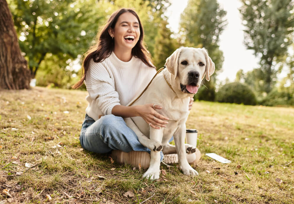 Dog Friendly Staycations_HFH.jpg