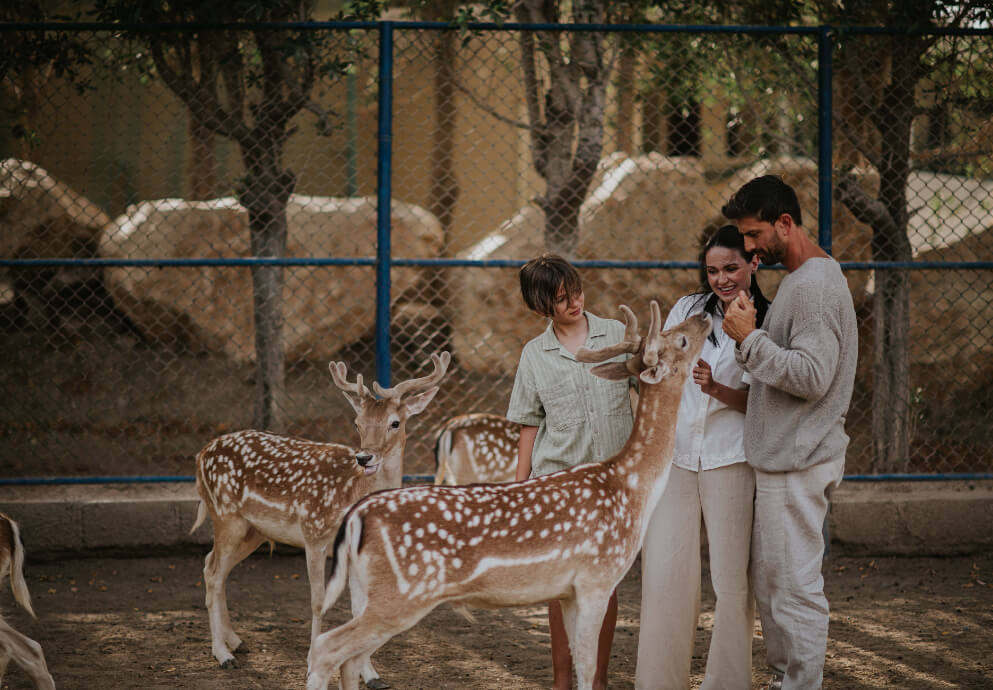 JA_HATTA_FORT_ANIMAL_SANCTUARY_0211.JPG