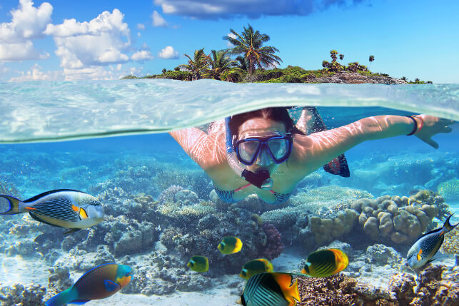 House Reef Snorkeling.jpg