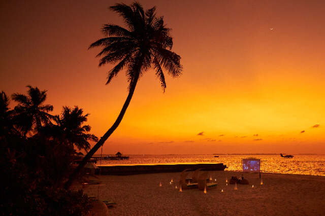 Movie Under the Stars.jpg