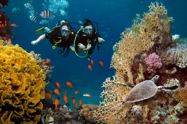 Scuba Diving.jpg