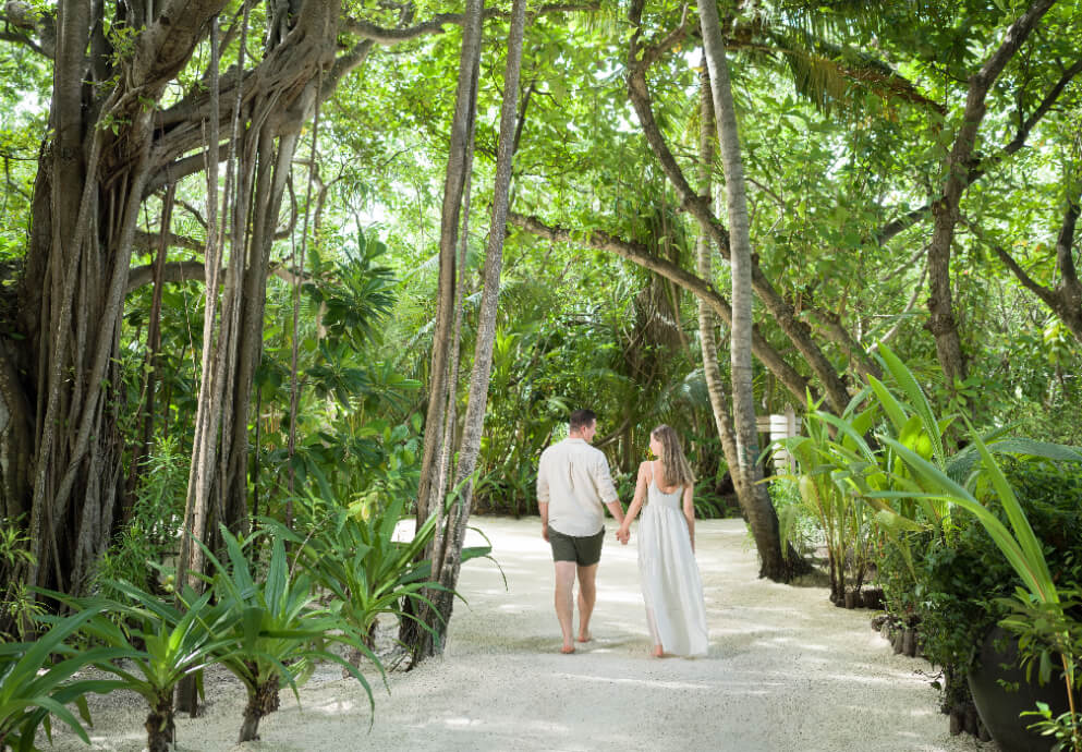 JA_Manafaru_Wellness_Honeymoon_Walking Path.jpg