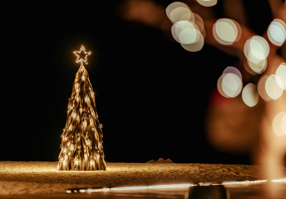 JAM Festive Image.jpg