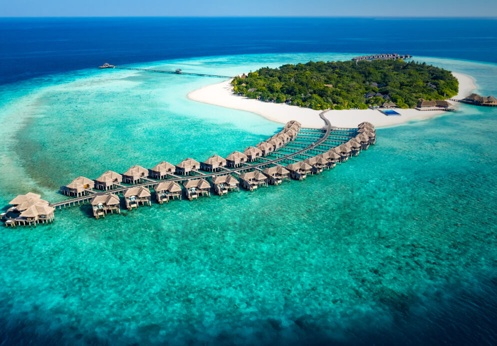 Web Banner-12.jpg