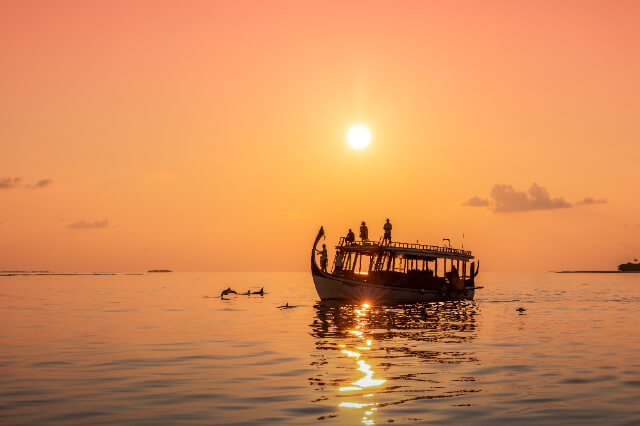 JAM Sunset Dolphin Cruise 4.jpg
