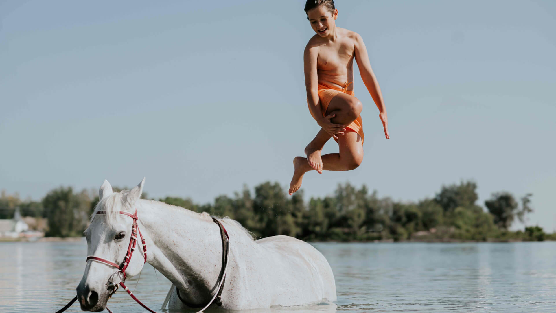 JA_BEACH_RESORT_HORSES_0356 (1).JPG