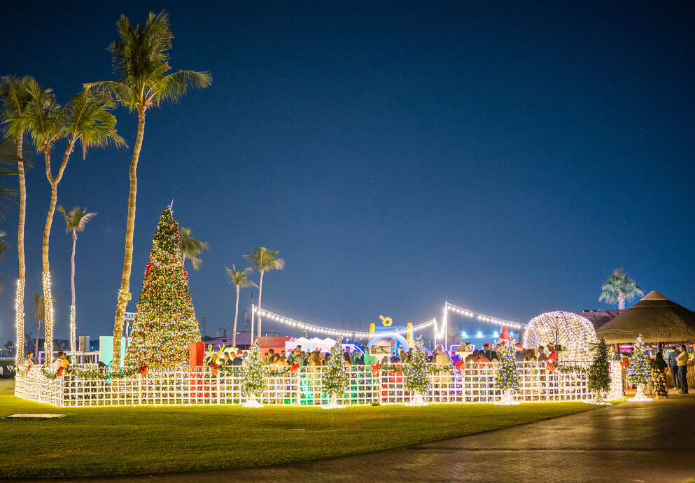BH-FESTIVE.jpg