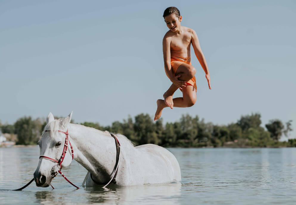 JA_BEACH_RESORT_HORSES_0356 (1).JPG