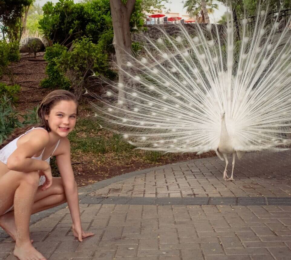 Girl With White Peacock