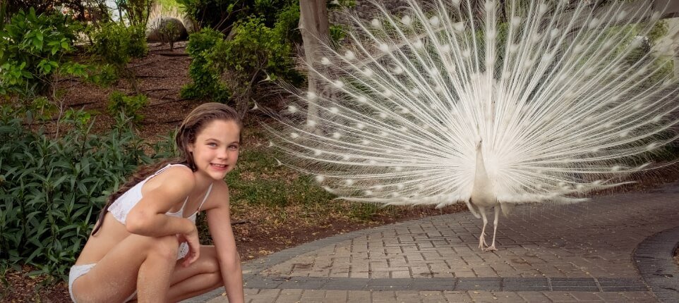 فتاة مع طاووس أبيض