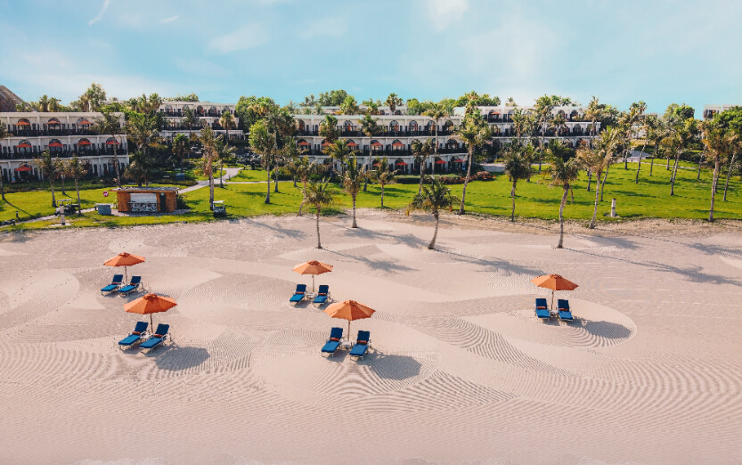 JA Palm Tree Court.jpg