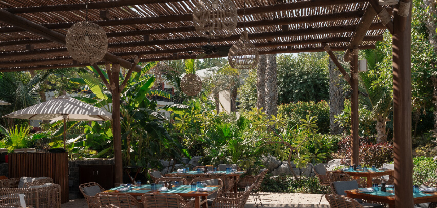 TAMR JA Palm Tree Court.jpg