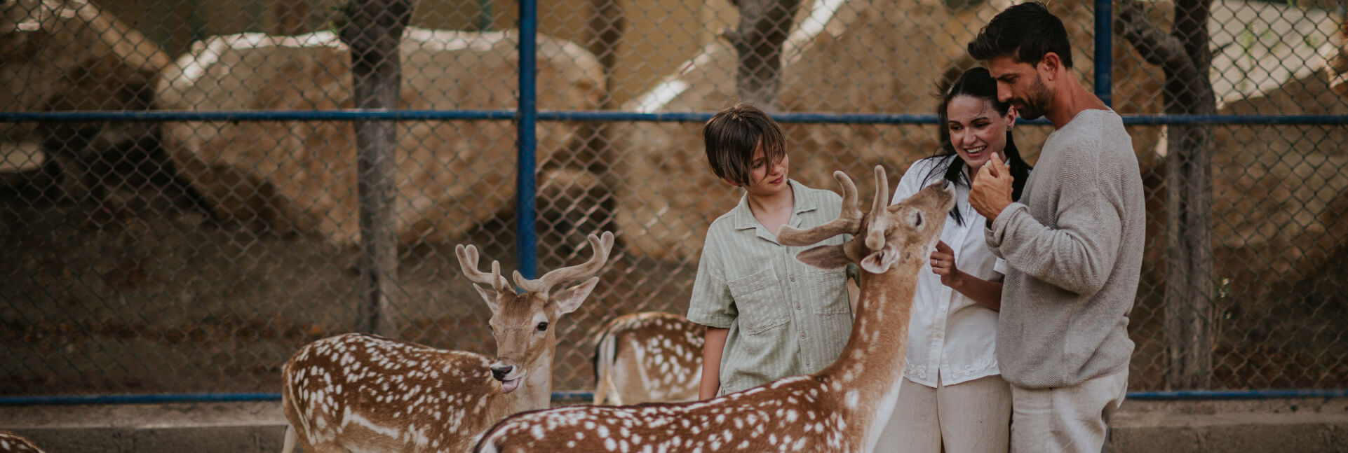 JA Hatta Fort Hotel - Animal Encounters.JPG