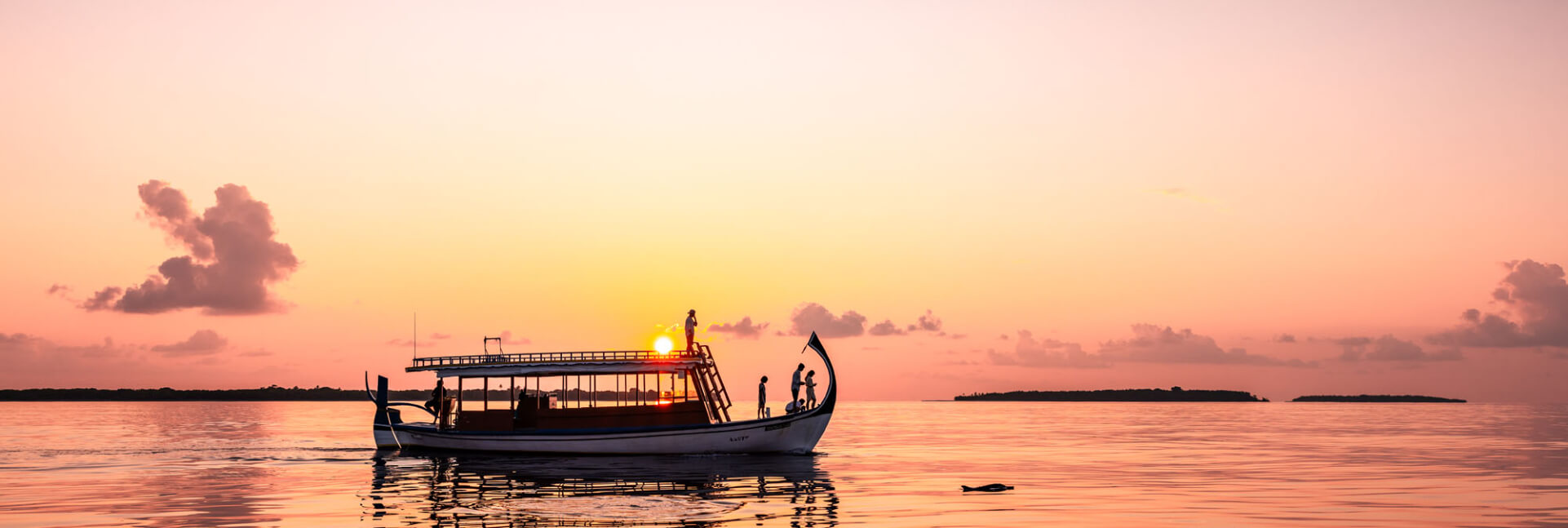 JAM Sunset Dolphin Cruise 3.jpg