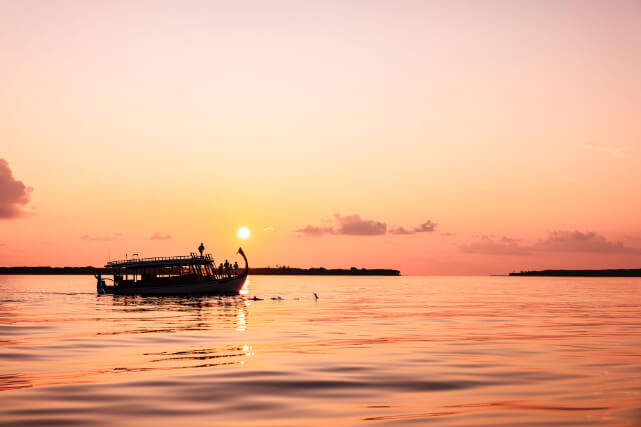 JAM Sunset Dolphin Cruise.jpg