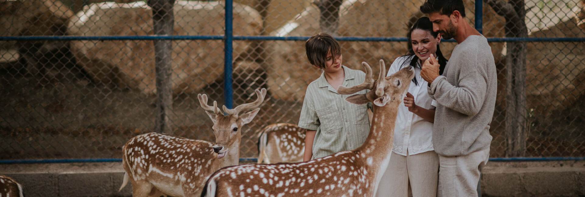 JA Hatta Fort Hotel - Animal Encounters.JPG