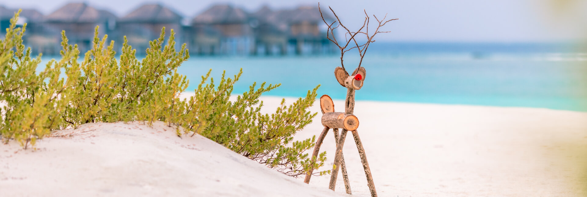 JA Manafaru Festive_Reindeer.jpg