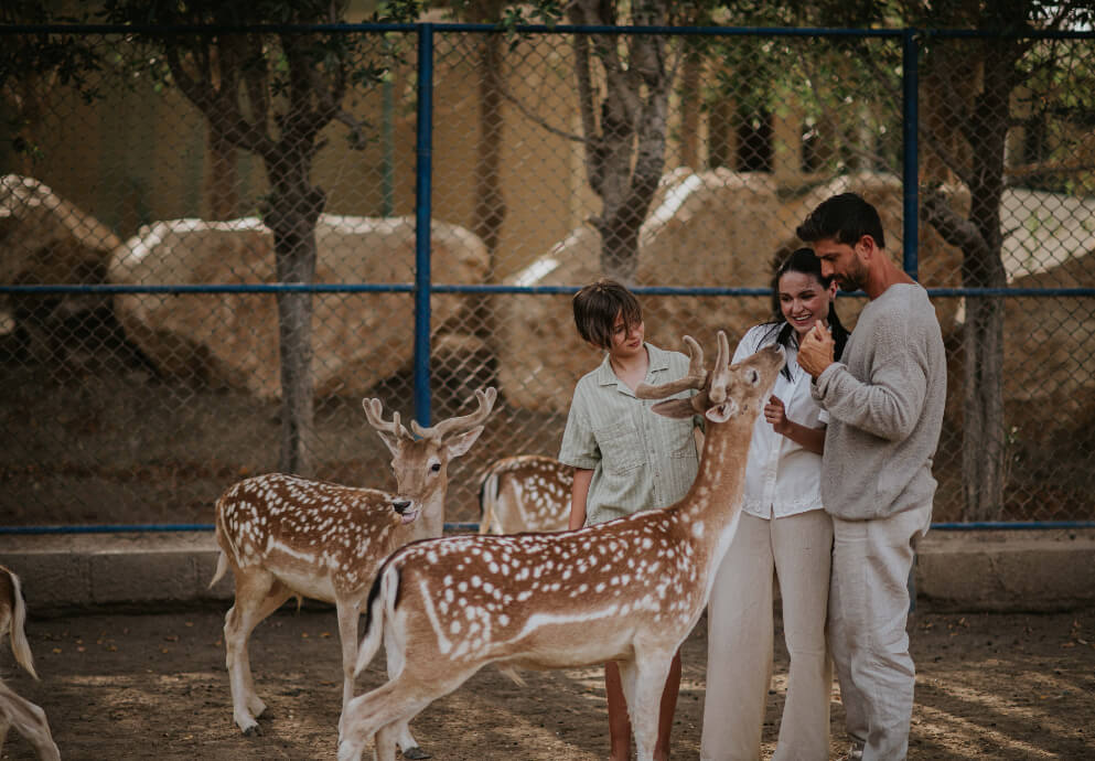 JA Hatta Fort Hotel - Animal Encounters.JPG