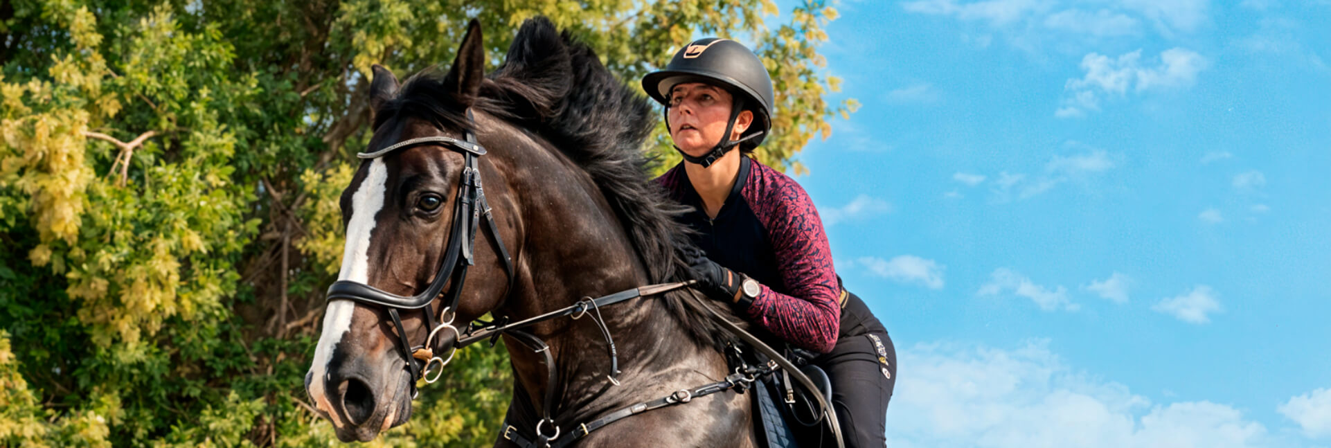 Equestrian-Photo.jpg