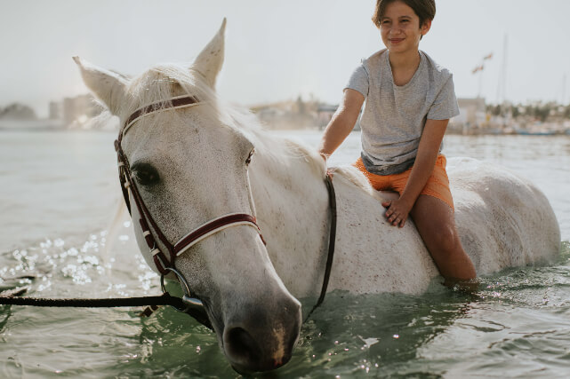 JA_BEACH_RESORT_HORSES_0045.JPG