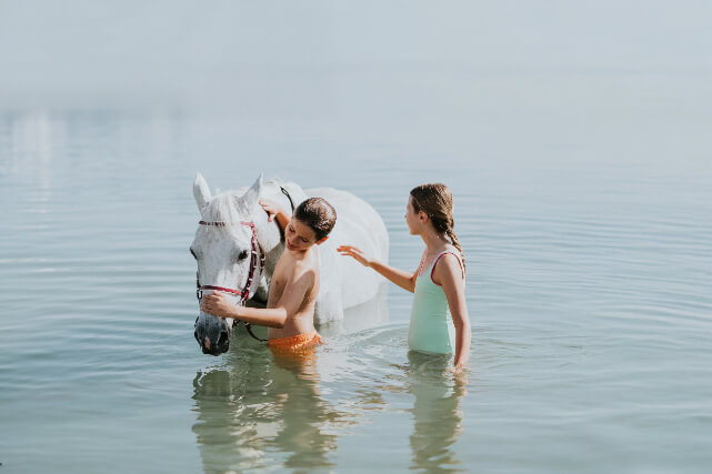 JA_BEACH_RESORT_HORSES_0425 2.JPG