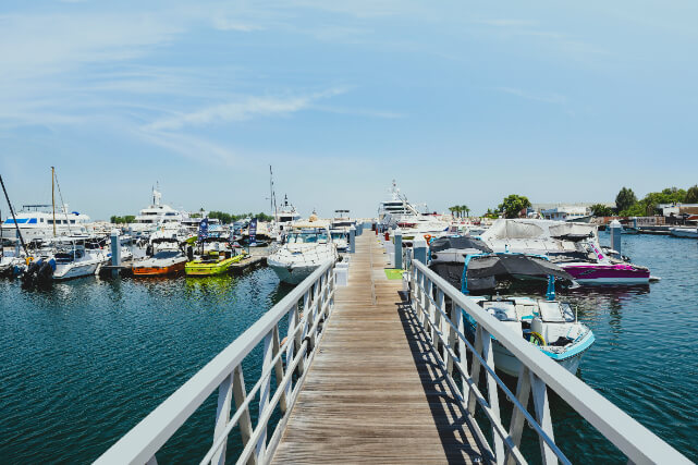 Marina Gallery 5.jpg