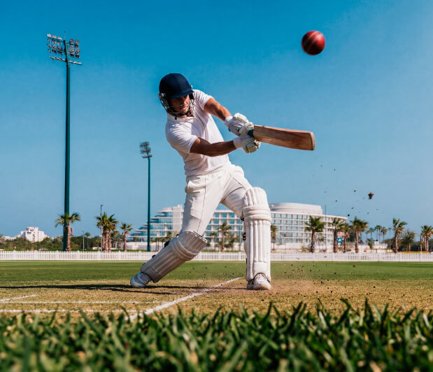 Cricket-Photo.jpg