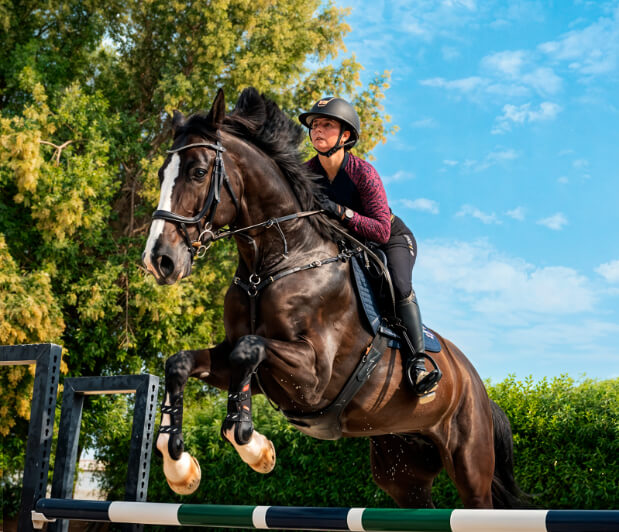 Equestrian-Photo.jpg
